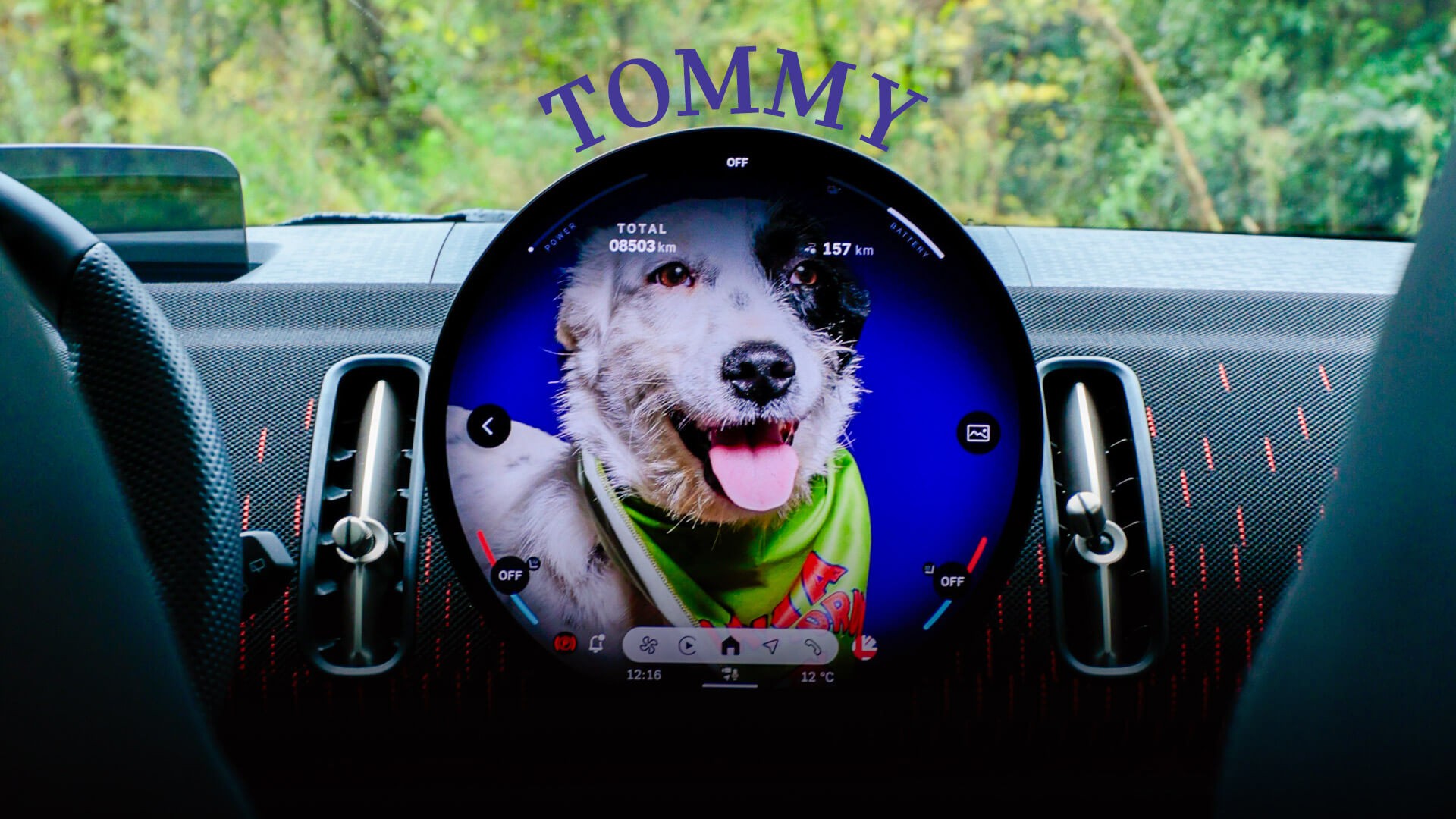 MINI Pati | MINI Türkiye